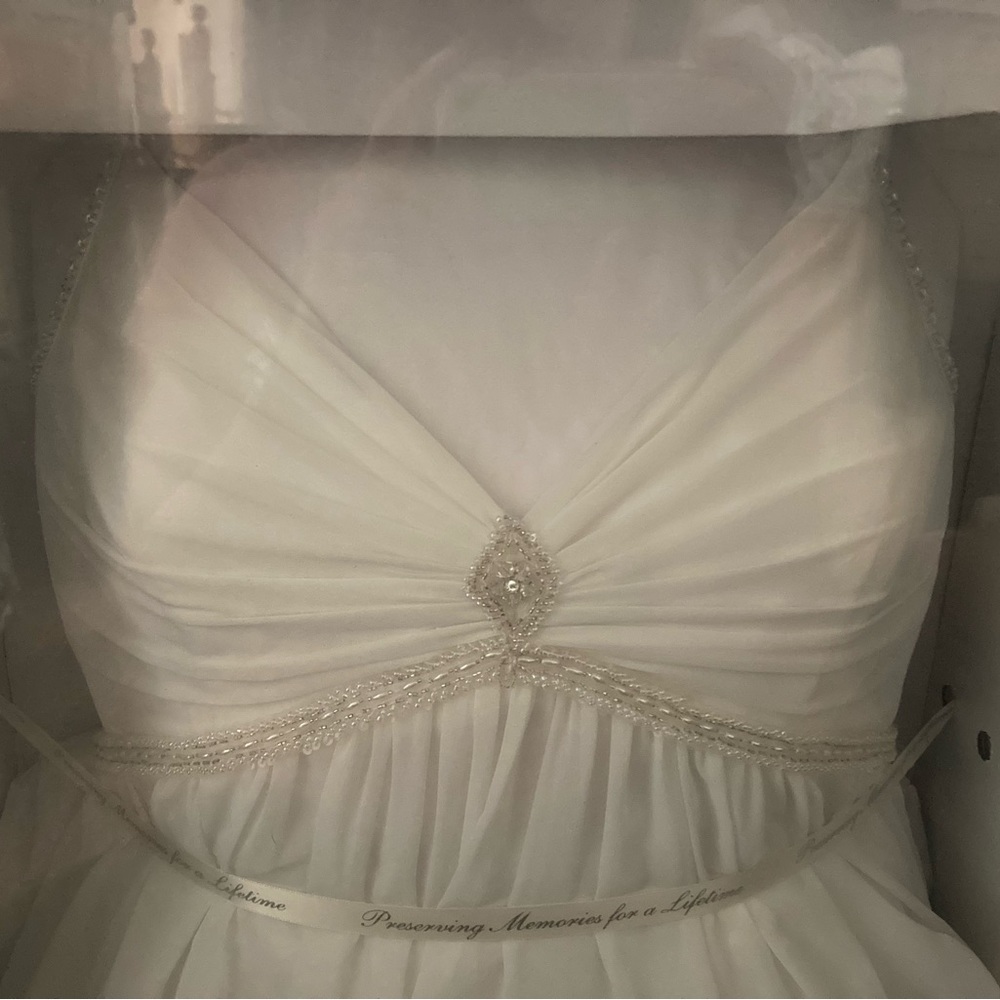Galina Signature Cream David’s Bridal gown bustle added by prof. seamstress